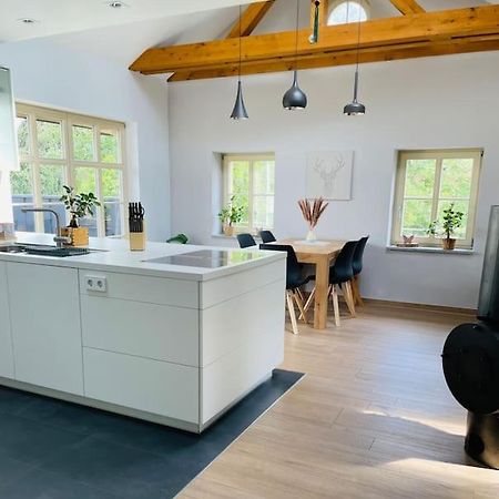 Traumvilla Im Herzen Hainichens Esterno foto
