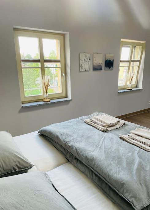 Traumvilla Im Herzen Hainichens Esterno foto